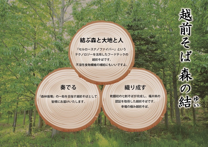 越前そば　森の結